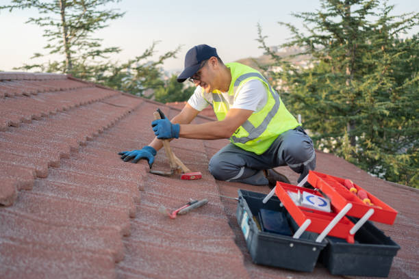 Best Roof Leak Repair  in De Leon, TX